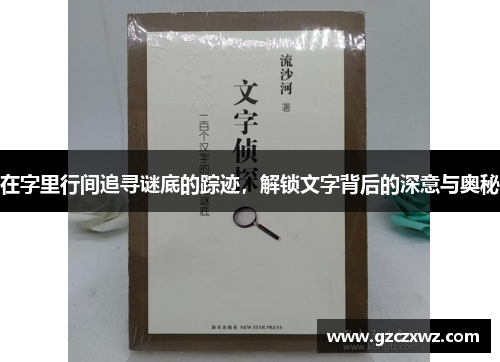 在字里行间追寻谜底的踪迹，解锁文字背后的深意与奥秘