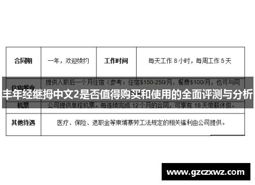 丰年经继拇中文2是否值得购买和使用的全面评测与分析